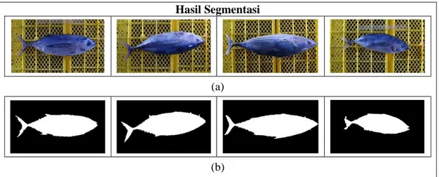Gambar 4. Hasil Segmentasi Beberapa Sampel Citra Ikan Tuna yang Digunakan, (a) Citra Original  dan (b) Citra Hasil Segmentasi 