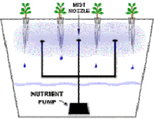 Gambar 2.8 Aeroponic 