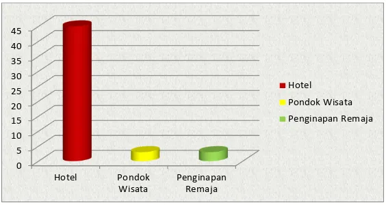 Grafik Jumlah Akomodasi di Kota Bogor Tahun 2011 