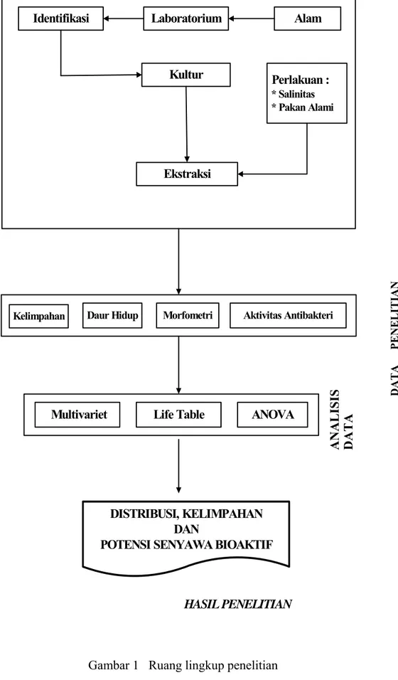Gambar 1   Ruang lingkup penelitian Kultur  AlamLaboratoriumEkstraksi ANALISIS  DATAMorfometriDaur Hidup PENELITIANDATAANOVALife Table MultivarietDISTRIBUSI, KELIMPAHANDAN 