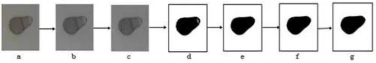 Figure 2. manual cropping (a) microscopic image (b) sub-image 