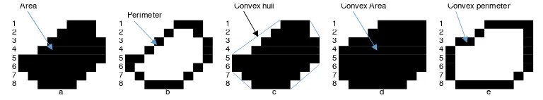 Figure 4. Basic features (a) area, (b) perimeter, (c) convex hull, (d) convex area, (e) convex perimeter  