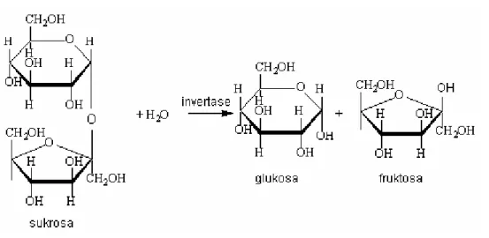 Gambar 1. Reaksi hidrolisis sukrosa menjadi glukosa dan fruktosa dengan bantuan invertase (Chaplin, 2003).