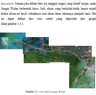 Gambar 1.3. Citra Satelit Sungai Wulan.  