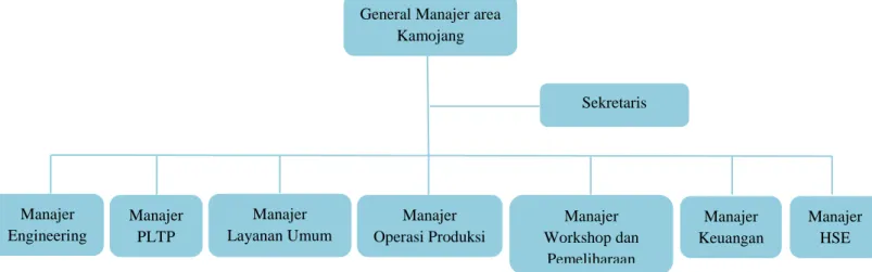 Gambar  dibawah  ini  berisikan  tentang  struktur  organisasi  PT  Pertamina  Geothermal Energy area Kamojang dan struktur organisasi di bagian operasi-produksi