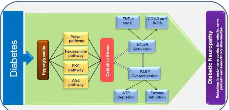 Gambar 2. Mekanisme Neuropati Diabetika 