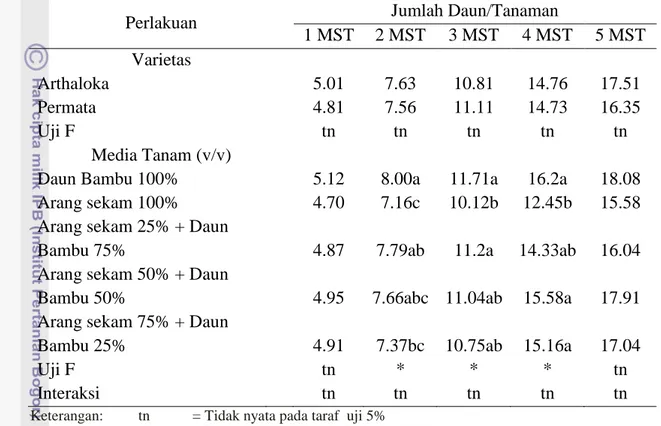 Tabel  2.  Pengaruh  Varietas  dan  Media  Tanam  terhadap  Jumlah  Daun  Tanaman  Tomat 