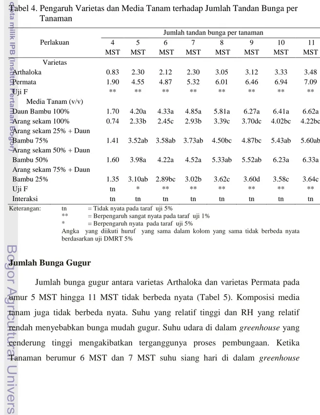 Tabel 4. Pengaruh Varietas dan Media Tanam terhadap Jumlah Tandan Bunga per                Tanaman 