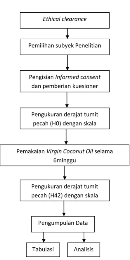 Gambar 4. Alur penelitian 