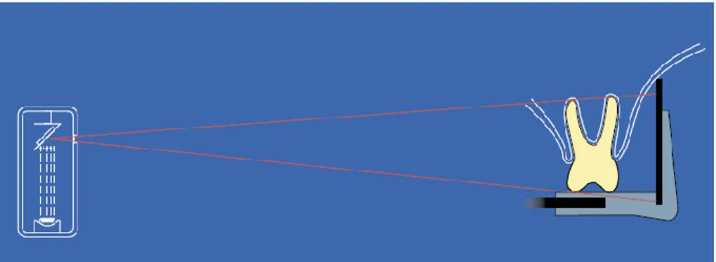 Gambar 2.6. Prinsip cone jarak panjang dan teknik paralel (Sumber: Castellucci, 2004: 83) 