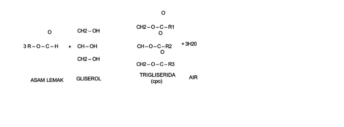Gambar 2.4 Reaksi kimia asam lemak dengan gliserolGambar 2.4 Reaksi kimia asam lemak dengan gliserol
