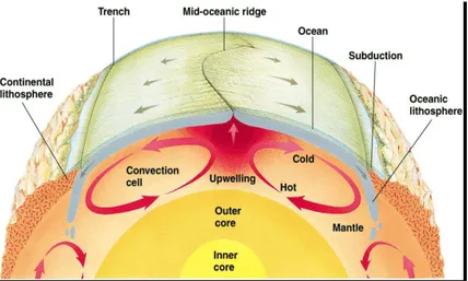 Gambar 2. Tectonic Plate