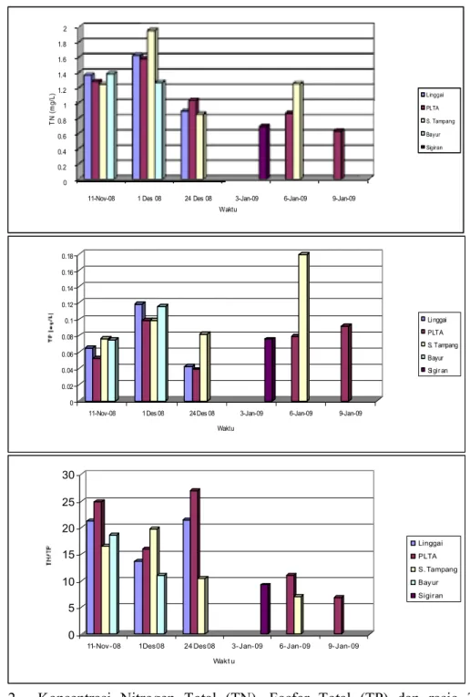 Gambar  2.    Konsentrasi  Nitrogen  Total  (TN),  Fosfor  Total  (TP)  dan  rasio  TN/TP  di  D.Maninjau pada bulan November dan Desember 2008 serta Januari 2009