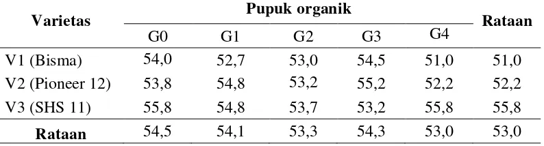 Tabel 4. Rataan umur berbunga dengan perlakuan pupuk organik dan varietas serta interaksi pupuk organik dan varietas