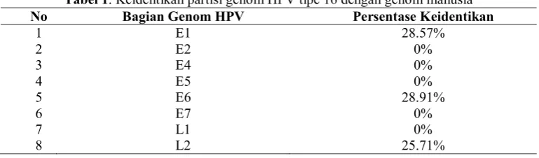Tabel 1. Keidentikan partisi genom HPV tipe 16 dengan genom manusia 
