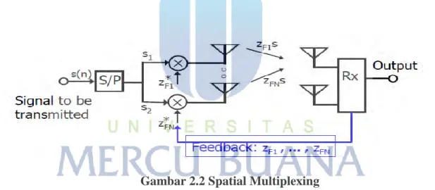 Gambar 2.2 Spatial Multiplexing  