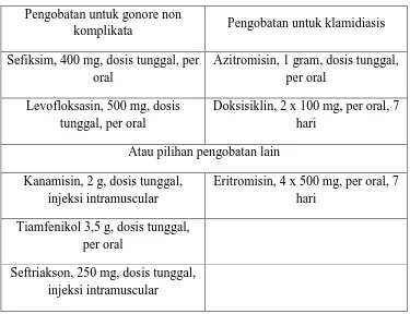 Tabel 2. Pilihan pengobatan untuk sindrom duh tubuh6 