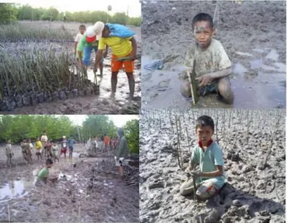 Gambar 11.7: Pelibatan masyarakat dalam budidaya mangrove sebagai  upaya penanggulangan kerusakan lingkungan pesisir dan laut 