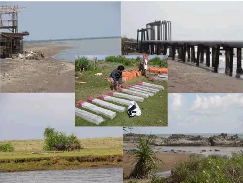 Gambar 11.5: Beberapa kasus kerusakan pesisir pantai utara Jawa Barat  diakibatkan oleh abrasi, akresi, penambangan pasir, dan perubahan fungsi lahan 