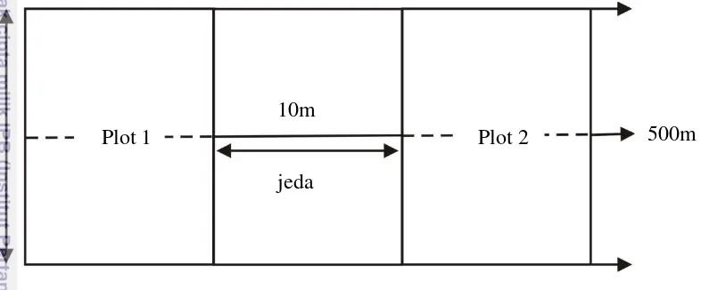 Gambar 5  Bentuk jalur metode transek. 