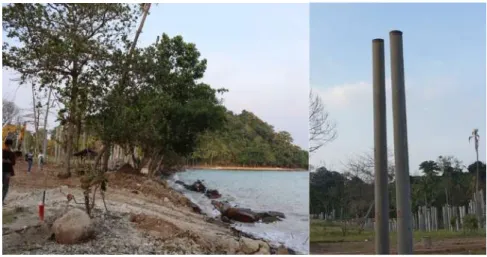 gambar 36. Kondisi pada area tapak 