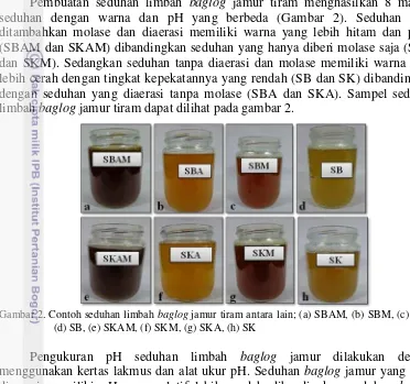 Gambar 2. Contoh seduhan limbah baglog jamur tiram antara lain; (a) SBAM, (b) SBM, (c) SBA,  