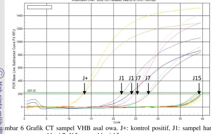 Gambar 7 Grafik CT hasil  real time PCR sampel VHB asal manusia. H+: kontrol positif, 
