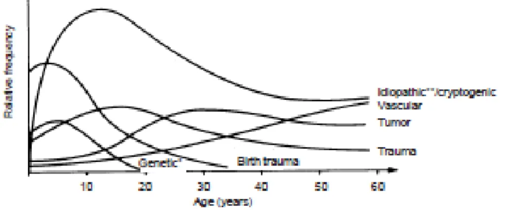 Grafik 1 Grafik penyebab epilepsi berdasarkan usia 9