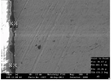 Gambar. 4 Foto mikro hasil pengujian  Scanning Electron Microscope dengan perbesaran 300X