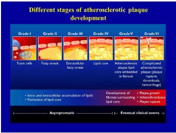 Gambar 2.1 Atheroscleosis Timeline.31 (Pepine CJ, 1998) 