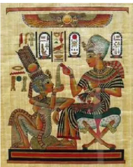 Gambar Serat Papyrus