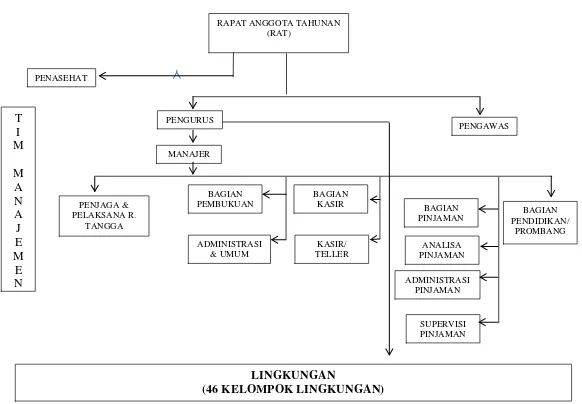 Tabel II-1 Skema Organisasi CU. Satolop Siborongborong 