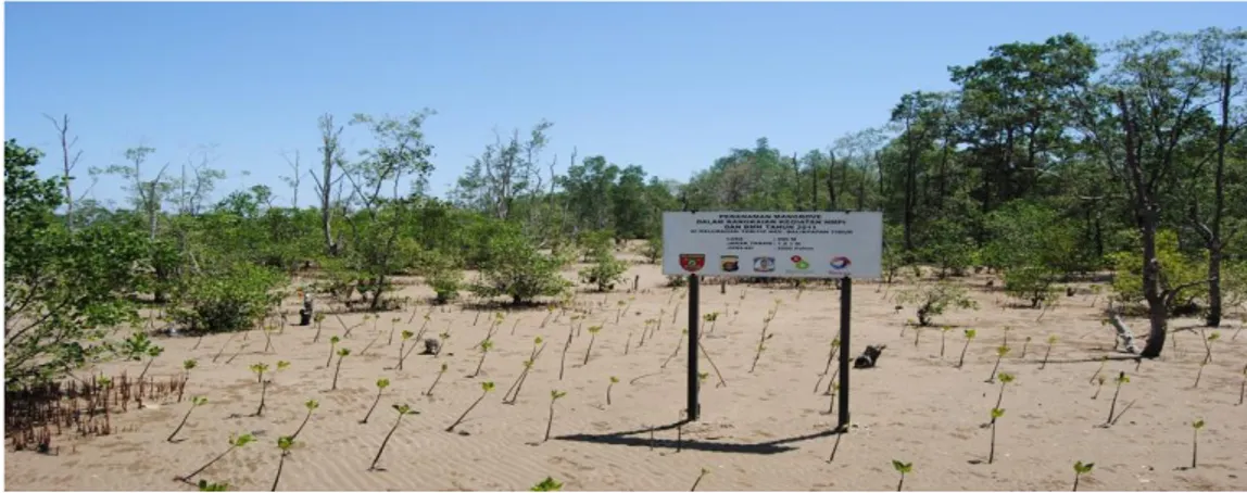 Gambar 1.5. Upaya Pelestarian Hutan Mangrove di Delta Mahakam   Berdasarkan  hal  tersebut,  maka  dapat  dirumuskan  permasalahan  sebagai  berikut ini