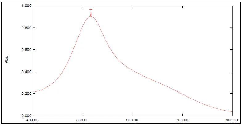 Gambar 2. Kurva serapan maksimum larutan DPPH 40 ppm dalam metanol    secara spektrofotometri visibel