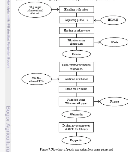 Figure 7. Flowchart of pectin extraction from sugar palm seed 