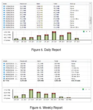 Figure 5. Daily Report 
