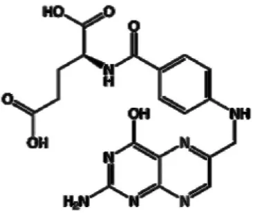Gambar 2.1   Struktur asam folat (sumber: Wikipedia) 