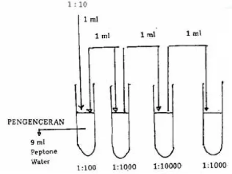 Gambar A.1 – Tingkat pengenceran menggunakan larutan pengence Buffered Peptone   Water (BPW)