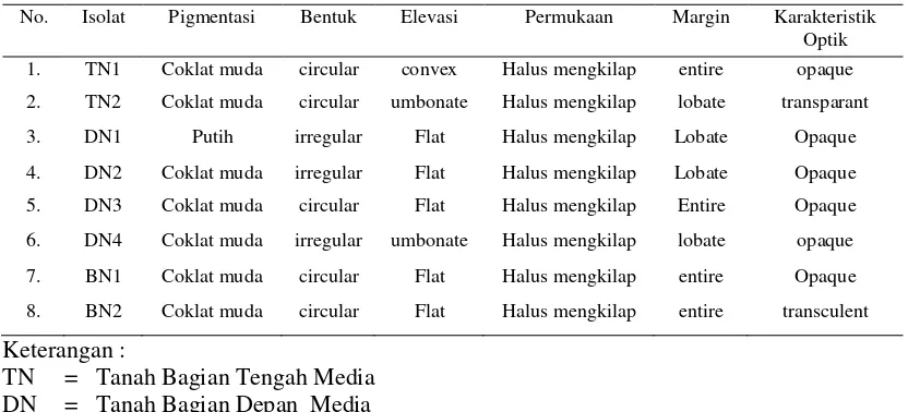 Tabel 2.  Keragaman Morfologi Isolat Bakteri Rhizosfer Tanah yang Terisolasi pada Media NA 