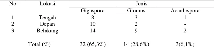 Tabel 4. Jenis dan Populasi Mikoriza pada Tanah Tegakan JUN 