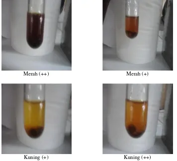 Gambar 3. Hasil Identifikasi  Flavonoid pada Pelarut Etanol 96%