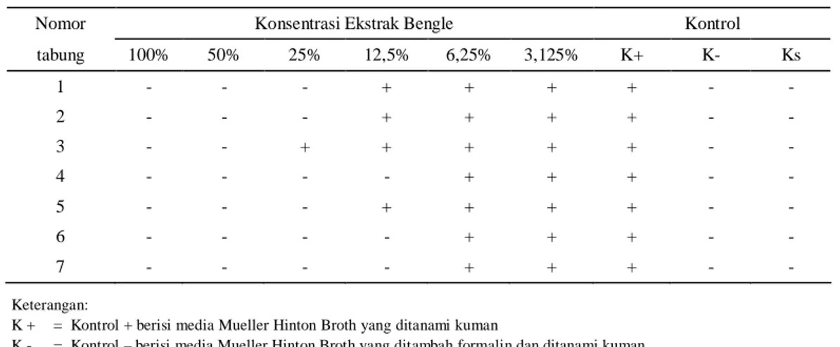 Tabel 3. Hasil uji KBM ekstrak rimpang Bengle terhadap Escherichia coli