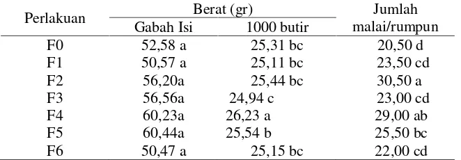 Tabel 6.Rataan Berat Gabah Isi, Berat 1000 Butir dan Jumlah Malai/Rumpun padaTanaman Padi.