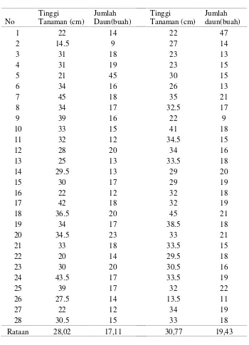 Tabel 3. Pengamatan Pertumbuhan Tanaman Sembung Periode II