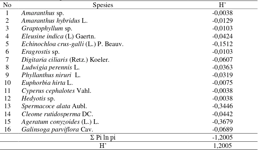 Tabel 3. Indeks Keanekaragaman Gulma Pada Pertanaman Jagung di Kelurahan Lambung Bukit,  Padang, Sumatera Barat