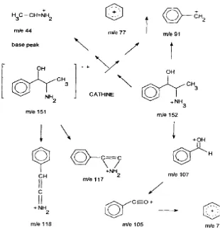Gambar 6. Fragmentasi Senyawa Katin (Ripani et al., 1996) 