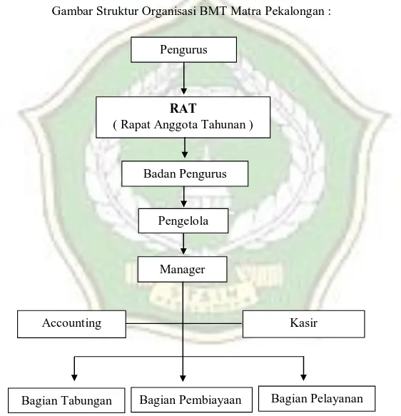 Gambar Struktur Organisasi BMT Matra Pekalongan : 