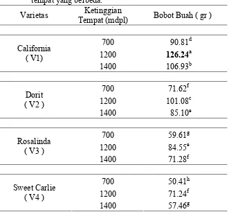 Tabel 4. Bobot buah (gr) per tanaman  beberapa varietas stroberi pada ketinggian 