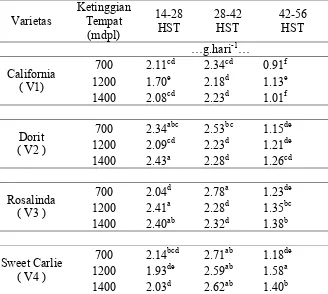 Tabel 6. Laju Asimilasi Bersih ( g.cm2.hari-1 ) beberapa varietas stroberi pada  
