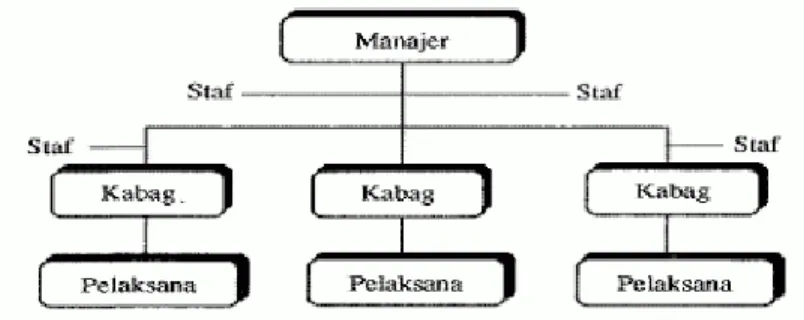 Gambar 2.4.B. Struktur Organisasi Lini dan Staf 